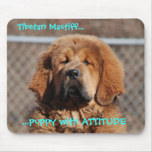 Tibetanischer Mastiff-Haltung Mousepad