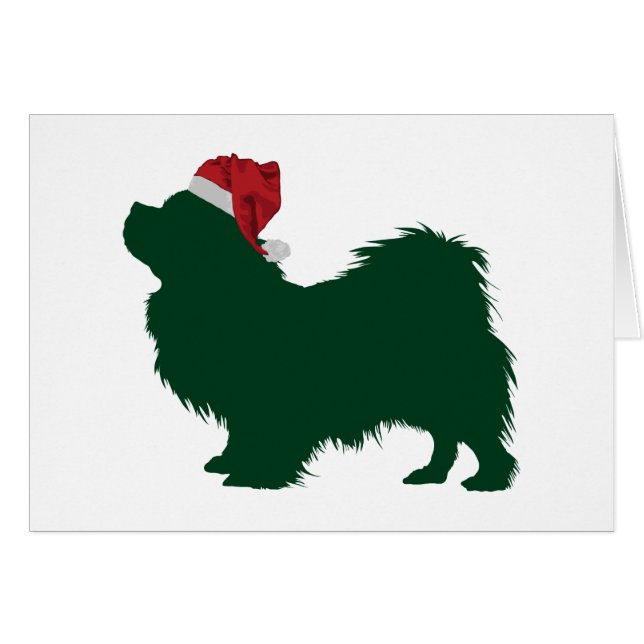 Tibetanischer Spaniel (Vorderseite (Horizontal))