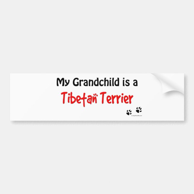 Tibetanisches Terrier-Enkelkind Autoaufkleber (Vorne)