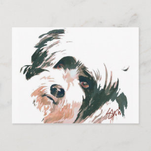 Tibetanisches Terrier-Porträt Postkarte