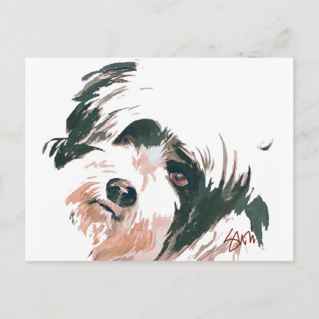 Tibetanisches Terrier-Porträt Postkarte (Vorderseite)