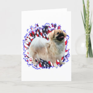 Tibeter Spaniel Patriot Karte