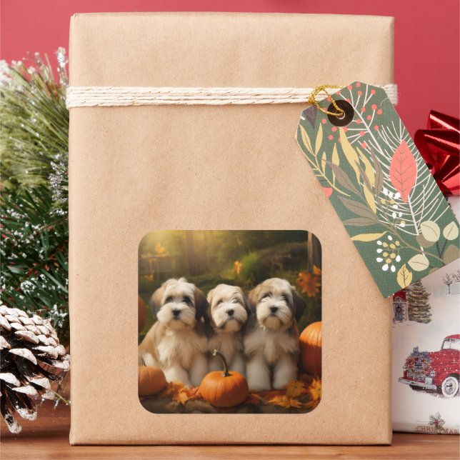 Tibeter Terrier Welpe Herbst Kürbis Quadratischer Aufkleber (Feiertag)