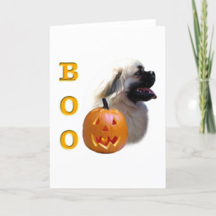 Tibetisch-Spaniel Boo Karte