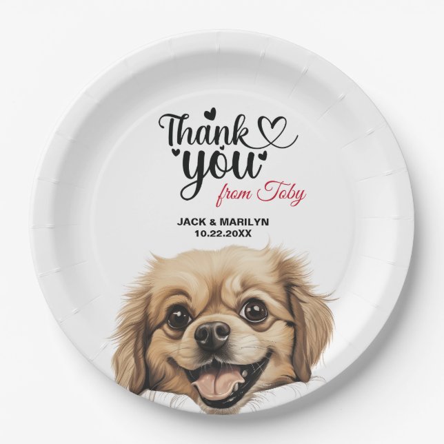 Tibetisch-Spaniel Pappteller (Vorderseite)