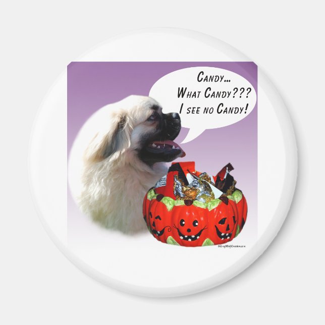 Tibetisch-Spanisch Halloween Candy Magnet (Vorne)