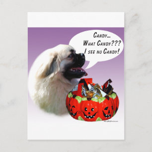Tibetisch-Spanisch Halloween Candy Postkarte