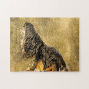 Tibetisch-Spanischer Hund Jigsaws