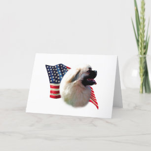 tibetische Flagge Karte