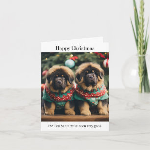 Tibetische Mastiff Welpen Weihnachtskarte Karte