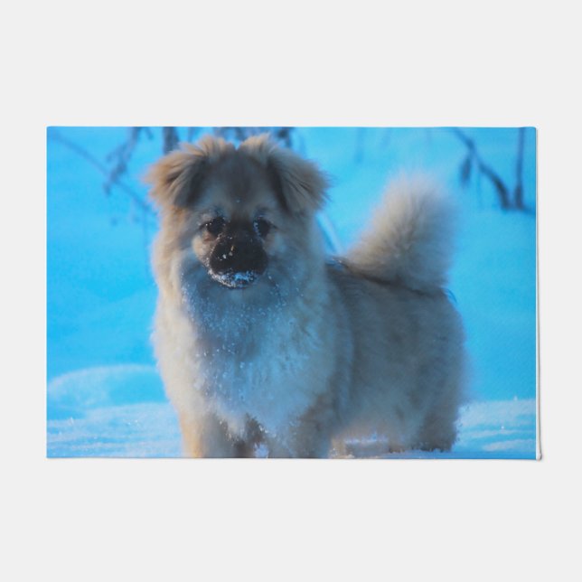 Tibetische Spanielhunde. Fußmatte (Vorderseite)