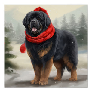 Tibetischer Mastiff Hund im Schnee Weihnachten  Poster