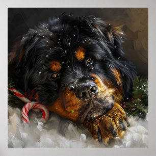 Tibetischer Mastiff Hund Weihnachtsfestlich Poster