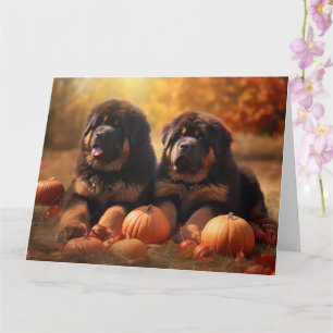 Tibetischer Mastiff Welpe Herbst Kürbis Karte