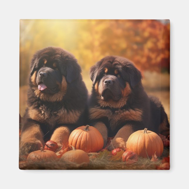 Tibetischer Mastiff Welpe Herbst Kürbis Magnet (Vorne)