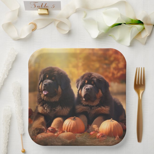 Tibetischer Mastiff Welpe Herbst Kürbis Pappteller (Hochzeit)