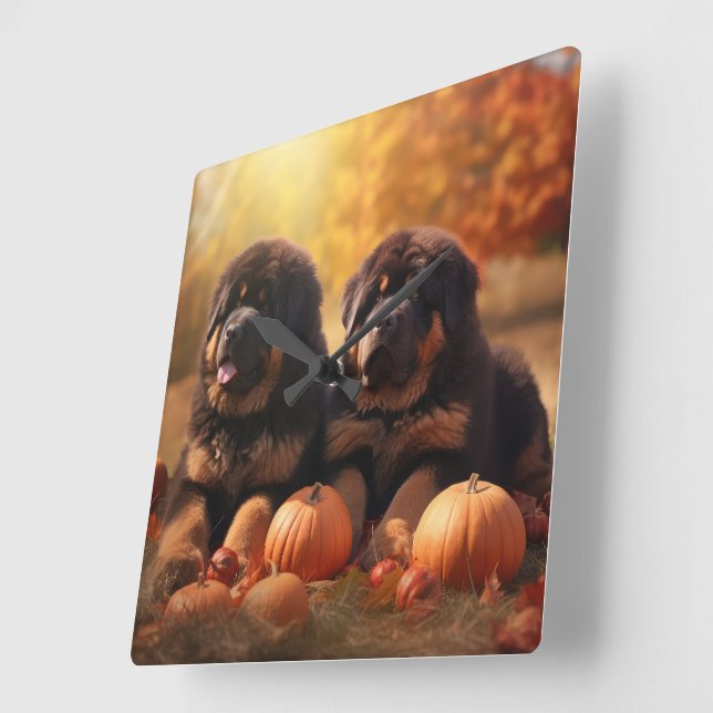 Tibetischer Mastiff Welpe Herbst Kürbis Quadratische Wanduhr (Winkel)
