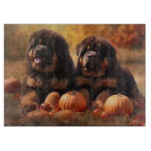 Tibetischer Mastiff Welpe Herbst Kürbis Schneidebrett