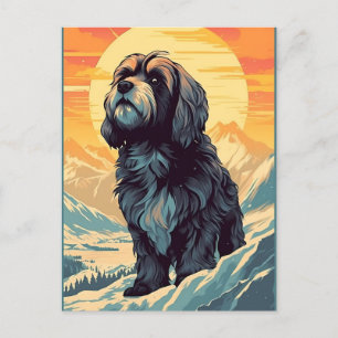 Tibetischer Terrier bei Sonnenuntergang in den Ber Postkarte