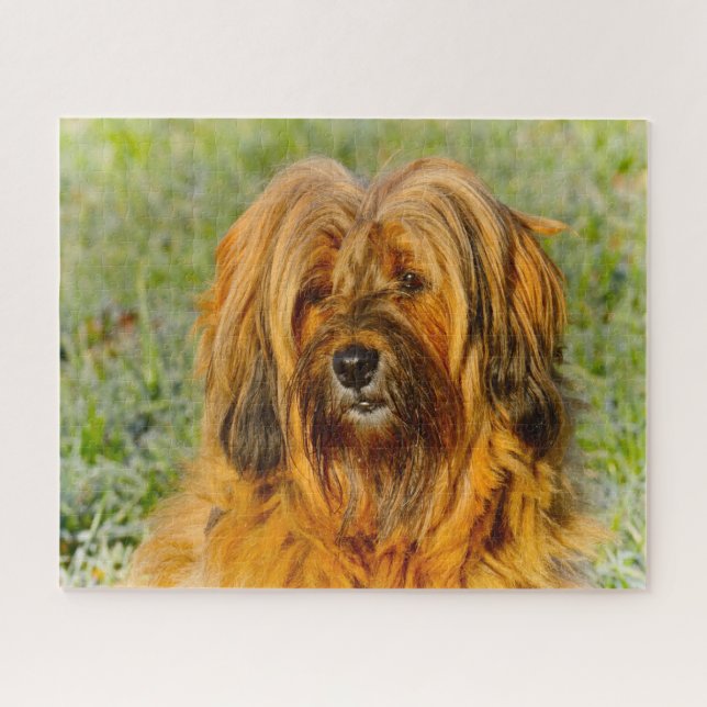 Tibetischer Terrier Dog Jigsaws. (Horizontal)