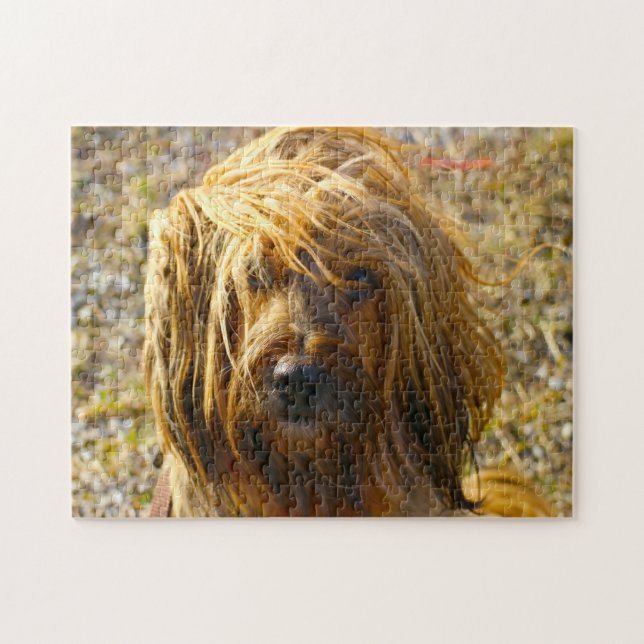 Tibetischer Terrier Dog Jigsaws. (Horizontal)