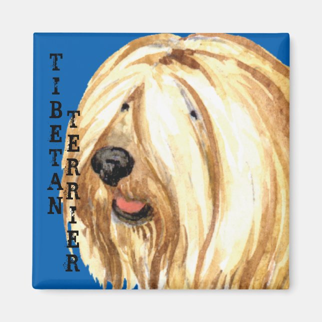 Tibetischer Terrier-Farbblock Magnet (Vorne)