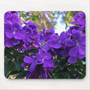 Tibouchina Blumen Mousepad
