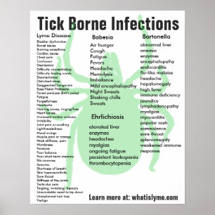Tick Borne Infections Symptômes Poster éducatif