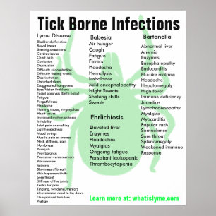 Tick Borne Infections Symptômes Poster éducatif