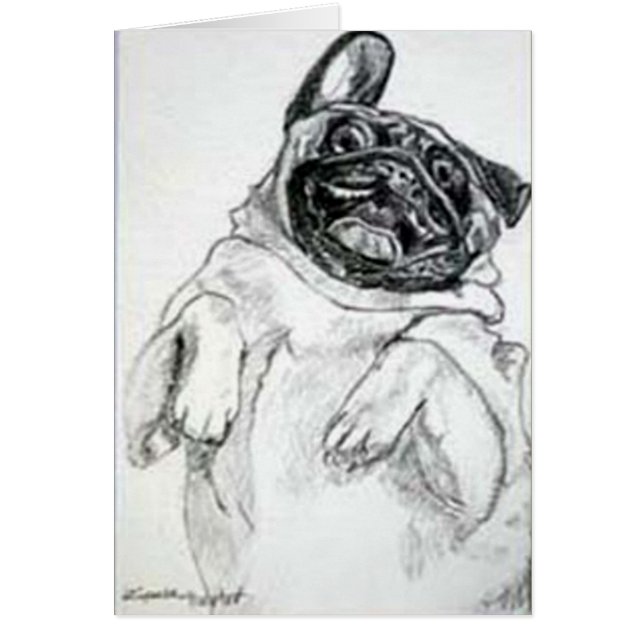 Tickle meinen Bauch, bitte (Vorne)