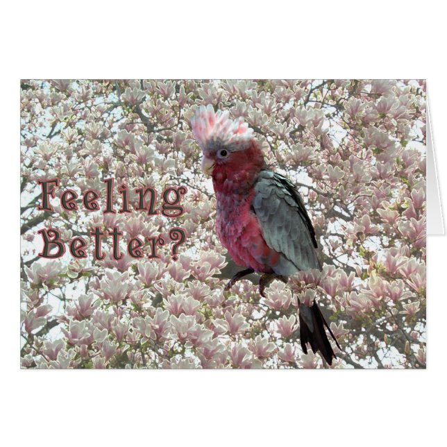 Tickled Rosa (Vorderseite (Horizontal))