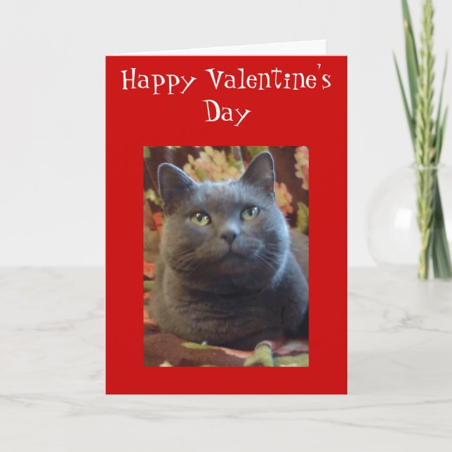 Tickles Feiertagskarte (Vorderseite)