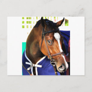 Ticonabweicha Postkarte