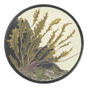 Tidal Fronds Eishockey Puck