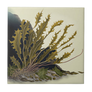 Tidal Fronds Fliese