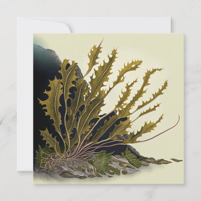 Tidal Fronds Karte (Vorderseite)