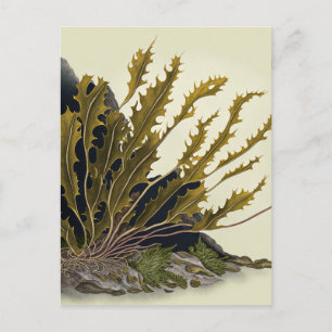 Tidal Fronds Postkarte