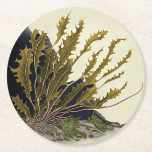Tidal Fronds Runder Pappuntersetzer