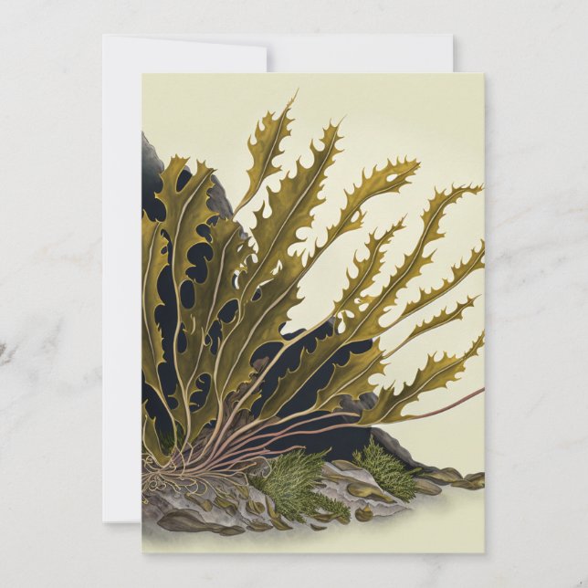 Tidal Fronds Save The Date (Vorderseite)