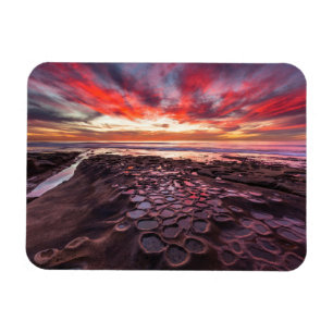Tide Pools in La Jolla, CA Magnet