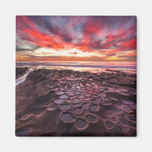 Tide Pools in La Jolla, CA Magnet