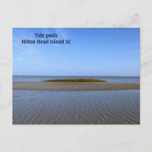 Tide Pools South Carolina Postkarte (Vorderseite)