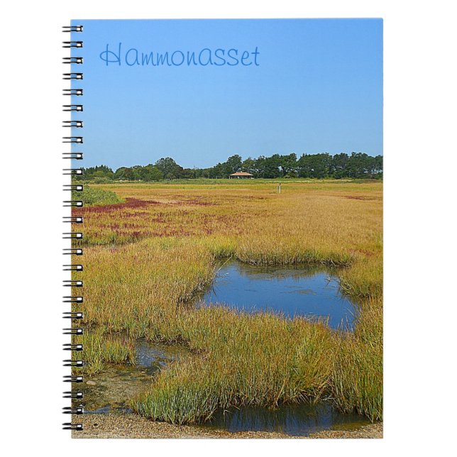 Tidepool Marsh Notebook Notizblock (Vorderseite)