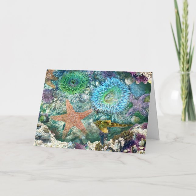 Tidepool Reflektionen Grußkarte Karte (Vorderseite)