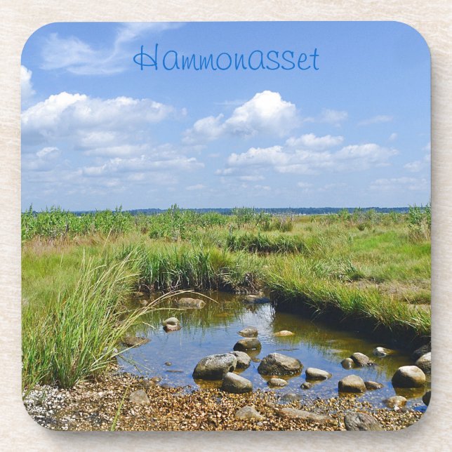 Tidepool Untersetzer (Vorderseite)