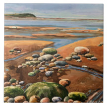 Tides Out Meeresstrand