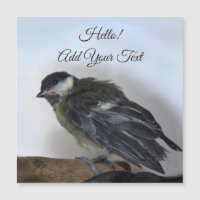 Tidi mon oiseau le Parus carte magnétique majeure