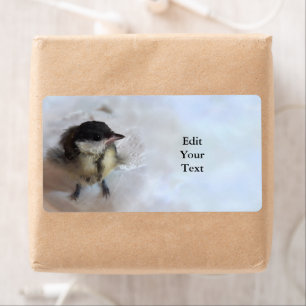Tidi my Bird the Parus Major