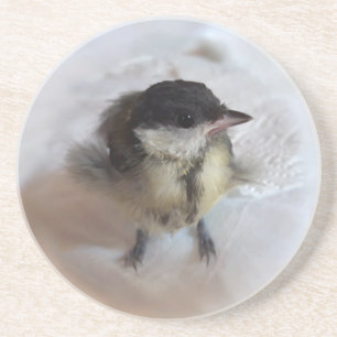 Tidi my Bird the Parus Major Getränkeuntersetzer