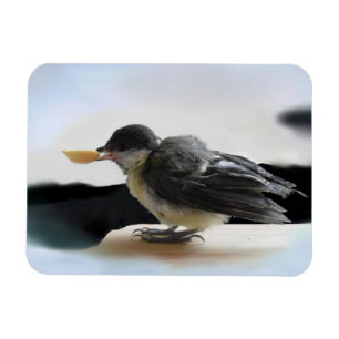 Tidi my Bird the Parus Major Magnet